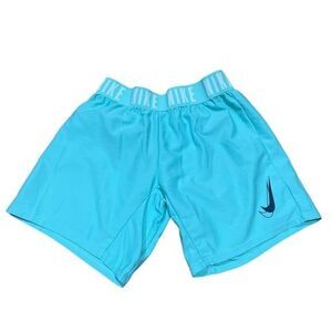 Nike Dri-Fit Mint Green Athletic Shorts